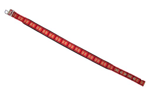 Heim 204652 Halsband aus Nylongurt mit Schnalle, genäht 25/65, rot von Unbekannt