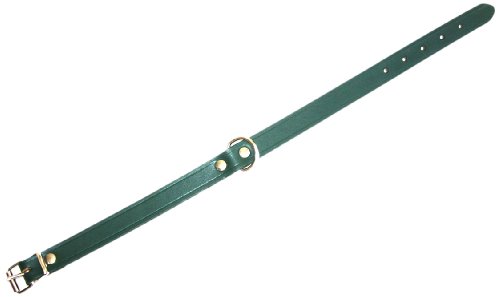 Heim 6000774 Lederhalsband, 25 mm breit, 60 cm lang, grün von Unbekannt