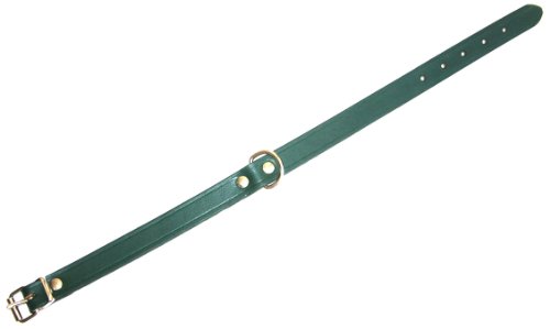 Heim 6000884 Lederhalsband, 30 mm breit, 65 cm lang, grün von Unbekannt