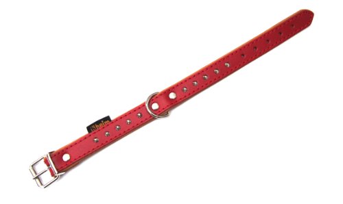 Heim 6037412 Halsband "Texas", 18 mm breit, 32 cm lang, rot / natur von Unbekannt
