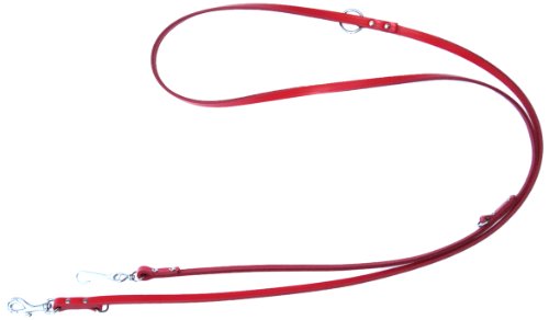 Heim 6401782C Vorführleine aus Leder, mit Bolzenhaken, 3-fach verstellbar, 18 mm breit, 200 cm lang, rot von Unbekannt