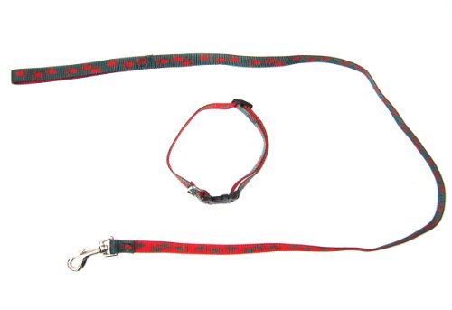 Heim 73364 Sortiment Tapsi bestehend aus Halsband und Leine, genäht Halsband, 20 mm/55 cm Leinen 20 mm/120 cm, grün-rot von Unbekannt