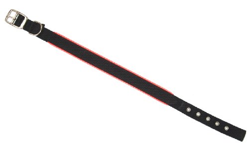 Heim 7409649 Halsband aus Nylongurt mit retroreflektierendem und floureszierendem Reflexite - Keder 20/45, schwarz - orange Heim 7409649 Halsband aus Nylongurt mit retroreflektierendem und floureszierendem Reflexite - Keder 20/45, schwarz - orange von Unbekannt