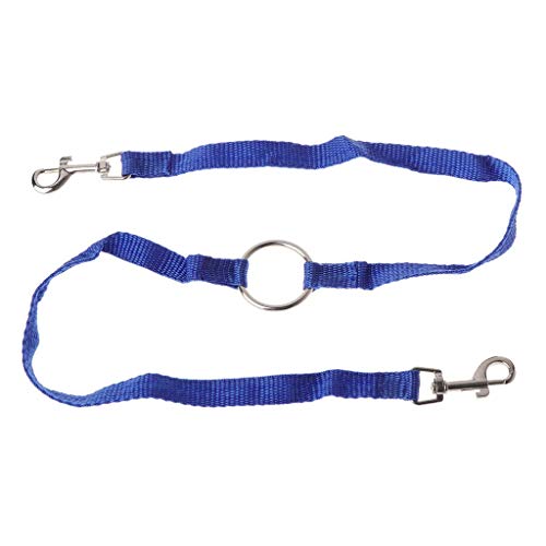 Hundegeschirr für Haustiere, Zugseil mit doppeltem Gurt, Sicherheitsgurt aus Nylon für Katzen von zwei Hunden, praktisch und beliebt Hundegeschirr für Haustiere, Zugseil mit doppeltem Gurt, Sicherheitsgurt aus Nylon für Katzen von zwei Hunden, praktisch und beliebt von Unbekannt