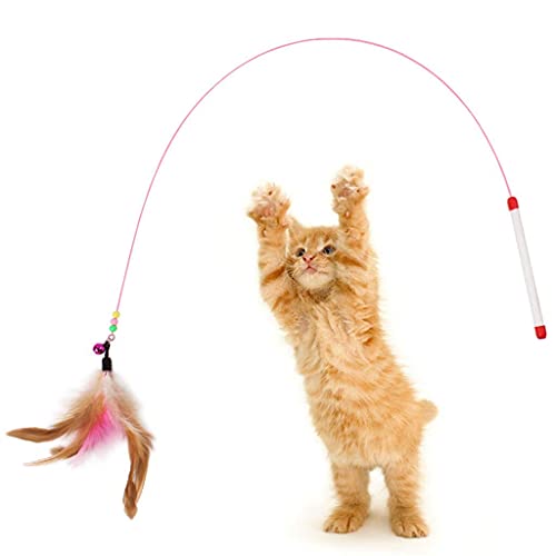 Katzenfeather Toy Kitten Interaktive Wand Toys Katze Teaser Stick Pet Supplies Best Geschenk für Indoor Kitty und Katzen, 1 Stück New Released and Popular Katzenfeather Toy Kitten Interaktive Wand Toys Katze Teaser Stick Pet Supplies Best Geschenk für Indoor Kitty und Katzen, 1 Stück New Released and Popular von Unbekannt