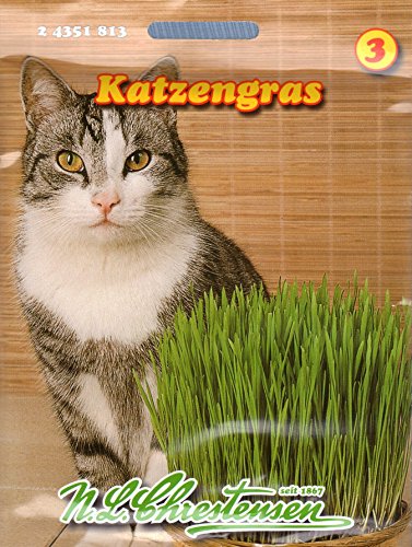 Katzengras Saatmischung Katzengras Saatmischung von unbekannt