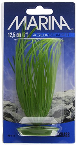 Marina Aquascaper, Aquarienpflanze, Wasserpflanze, aus Kunststoff, Haigrass, 13cm von Marina
