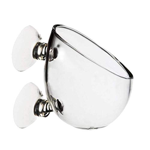 Mini-Wandhalterung, transparent, Aquarium, Aquarium, Aquarium, Aquarium, Pflanzen, Kristallglas, Blumentopf, transparent Mini-Wandhalterung, transparent, Aquarium, Aquarium, Aquarium, Aquarium, Pflanzen, Kristallglas, Blumentopf, transparent von Unbekannt