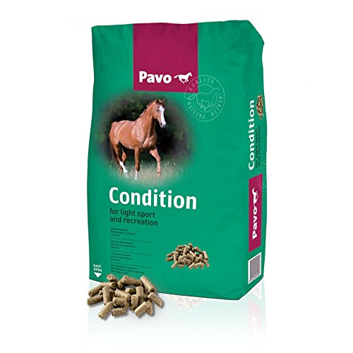 Pavo Condition 20kg von Unbekannt