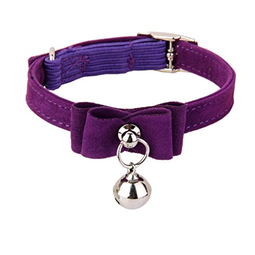 Pet Kätzchen, Welpen, Katzenhalsband, für Haustiere, mit Versteller, Schnallentyp, Halsband mit Nackengurt, Violett von Unbekannt