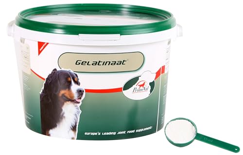 Primeval Gelatinat Hund, 2 kg, 1 Einheiten von PRIMEVAL
