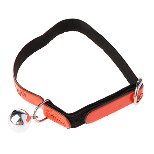 Reflektierendes Sicherheitshalsband für Haustiere, verstellbare Leine im Freien, für Hunde mit einer Katze und hochwertiger Qualität, von Bell Orange Reflektierendes Sicherheitshalsband für Haustiere, verstellbare Leine im Freien, für Hunde mit einer Katze und hochwertiger Qualität, von Bell Orange von Unbekannt