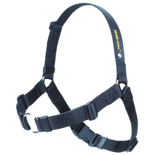 The Original Sense-ation Hundegeschirr, kein Ziehen, Größe S, Schwarz The Original Sense-ation Hundegeschirr, kein Ziehen, Größe S, Schwarz von Unbekannt