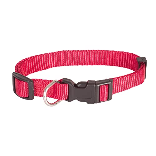 Doogy Halskette, Nylon, „Essential“, Rot, 10 mm x 2 Doogy Halskette, Nylon, „Essential“, Rot, 10 mm x 2 von Doogy