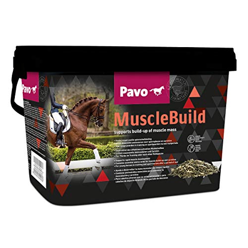 Unbekannt Pavo MuscleBuild Für schnellen Muskelaufbau 3 kg + 1x Pavo Telefon Bungee von Unbekannt