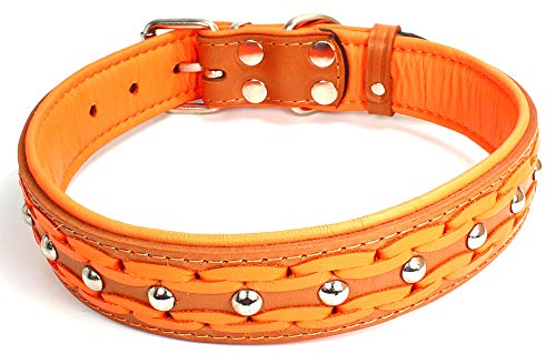Unbekannt Sulla Echtleder gepolstertert Handmade Hundehalsband in modischen Farben geflochten M/L/XL/XXL Unbekannt Sulla Echtleder gepolstertert Handmade Hundehalsband in modischen Farben geflochten M/L/XL/XXL von Unbekannt