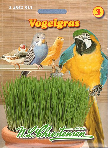 Vogelgras Saat von Unbekannt