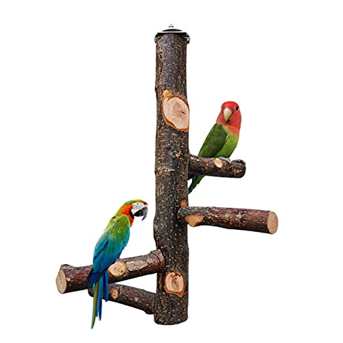 Vogelständer aus Holz, Vogelstick, Papagei, Natur, Stange, Vogelkäfig, Zubehör, Papageienspielzeug, aus Massivholz, für Vögel Generic von Unbekannt