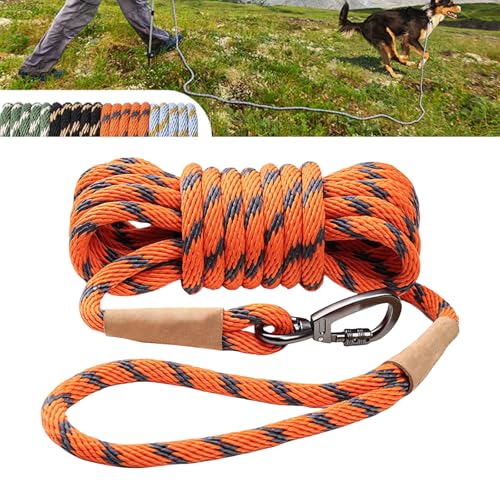 UncleS Hund Führt Nylonschlupf Frei Ausgedehntes Langes Seil Für Schulungen Freien Und Campingaktive Tierbesitzer Die Die Leine Hochstärken Können UncleS Hund Führt Nylonschlupf Frei Ausgedehntes Langes Seil Für Schulungen Freien Und Campingaktive Tierbesitzer Die Die Leine Hochstärken Können von UncleS