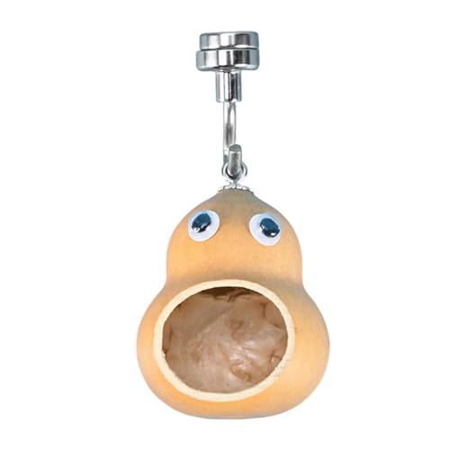 UncleS Natural Kürbisspinnen Schutz Mit Magnetischem Design Für Einen Sicheren Und Komfortablen Lebensraum Für Glas Oder Kunststoff Einfacher Installationslüftungsspinnen Nest von UncleS