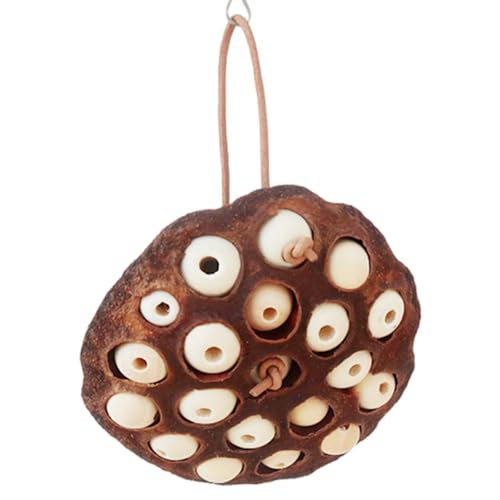 UncleS Papageien Seedpods Birdcage Toy Vogel Käfig Accessoires Vogel Reißen Unterhaltungsvogel Übungsversorgung Haustiervorräte UncleS Papageien Seedpods Birdcage Toy Vogel Käfig Accessoires Vogel Reißen Unterhaltungsvogel Übungsversorgung Haustiervorräte von UncleS
