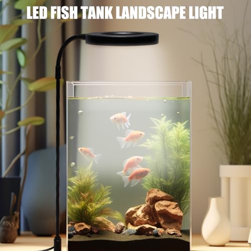 UncleS USB Betriebene LED Beleuchtungslampe Für Kleine Aquarien Sukkulenten Topfpflanzen Landschaftsbau Lampenfische Und Pflanzenwachstum LED Scheinwerfer UncleS USB Betriebene LED Beleuchtungslampe Für Kleine Aquarien Sukkulenten Topfpflanzen Landschaftsbau Lampenfische Und Pflanzenwachstum LED Scheinwerfer von UncleS