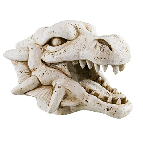 Underwater Treasures Dragon Skull von Underwater Treasures