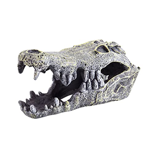 Underwater Treasures Krokodil-Totenkopf von Underwater Treasures