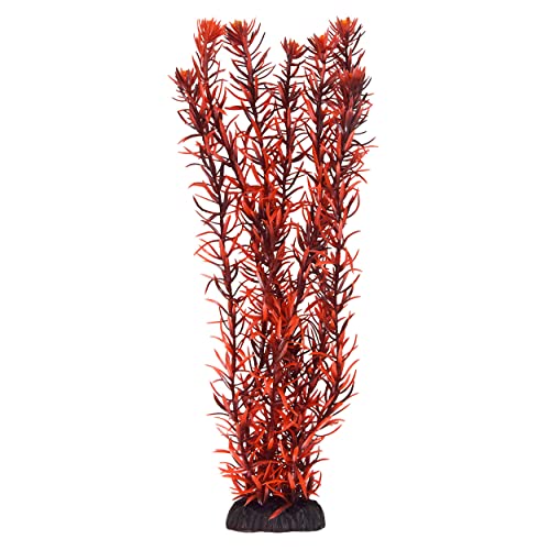 Underwater Treasures Rotala Indica - 41 cm von Underwater Treasures