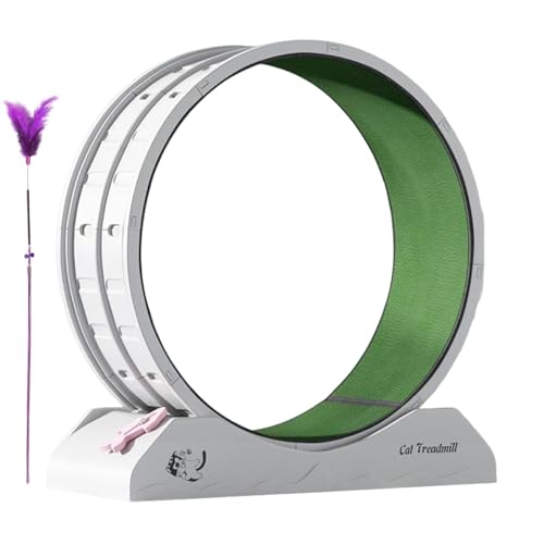 Cat Exercise Wheel, Kitten Workout Wheel, Indoor Cat Treadmill with Sturdy and Safe Construction for Interactive Feline Workouts, 31.5x13.15x33.85 Inches Cat Exercise Wheel, Kitten Workout Wheel, Indoor Cat Treadmill with Sturdy and Safe Construction for Interactive Feline Workouts, 31.5x13.15x33.85 Inches von Ungtyb