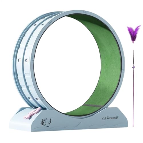 Cat Exercise Wheel, Kitten Workout Wheel, Indoor Cat Treadmill with Sturdy and Safe Construction for Interactive Feline Workouts, 31.5x13.15x33.85 Inches Cat Exercise Wheel, Kitten Workout Wheel, Indoor Cat Treadmill with Sturdy and Safe Construction for Interactive Feline Workouts, 31.5x13.15x33.85 Inches von Ungtyb