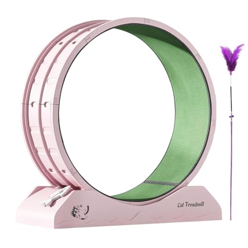Cat Exercise Wheel, Kitten Workout Wheel, Indoor Cat Treadmill with Sturdy and Safe Construction for Interactive Feline Workouts, 31.5x13.15x33.85 Inches Cat Exercise Wheel, Kitten Workout Wheel, Indoor Cat Treadmill with Sturdy and Safe Construction for Interactive Feline Workouts, 31.5x13.15x33.85 Inches von Ungtyb
