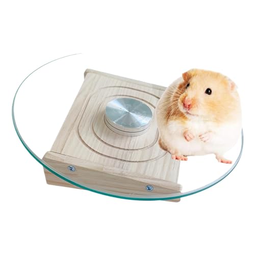 Chinchilla Running Wheel, Silent Pet Spinner, Tiny Animal Runner, Cage Exercise Wheel with Spacious and Comfortable Design for Small Animals, 11.42x2.36 Inches Chinchilla Running Wheel, Silent Pet Spinner, Tiny Animal Runner, Cage Exercise Wheel with Spacious and Comfortable Design for Small Animals, 11.42x2.36 Inches von Ungtyb