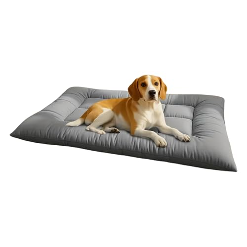 Ungtyb Kühlendes Kissen für Hunde – Kühlendes Hundebett | Atmungsaktives Und Rutschfestes Haustierbett Für Sommer Winter Garten Auto Reisen Und Genesung Veterinärmedizinisch Ungtyb Kühlendes Kissen für Hunde – Kühlendes Hundebett | Atmungsaktives Und Rutschfestes Haustierbett Für Sommer Winter Garten Auto Reisen Und Genesung Veterinärmedizinisch von Ungtyb