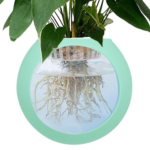 Wall Vases for Flowers, Strong Adhesive Silicone Globe Vase, Terrarium Air Plant Holder, Decorative Wall-Mounted Plant Pot for Home, Offices and Tank Decoration, 4.69x4.21 Inches Wall Vases for Flowers, Strong Adhesive Silicone Globe Vase, Terrarium Air Plant Holder, Decorative Wall-Mounted Plant Pot for Home, Offices and Tank Decoration, 4.69x4.21 Inches von Ungtyb