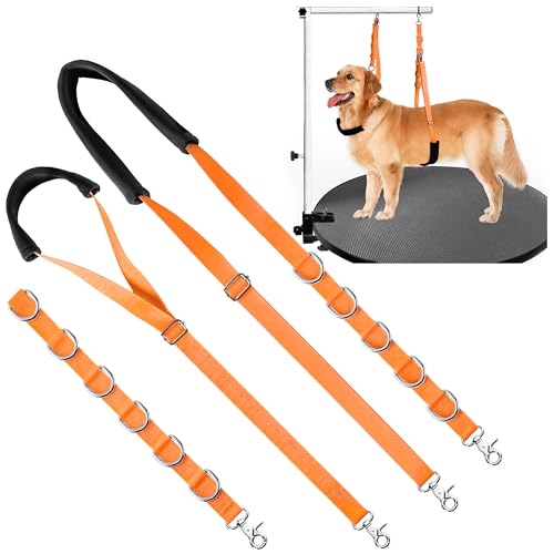 Bauchgurt für Hundepflege, mit Klemm-Verlängerungsschlaufe, kein Sitzen, Haunch-Halter für kleine und mittelgroße Haare, Orange von Uni PNR