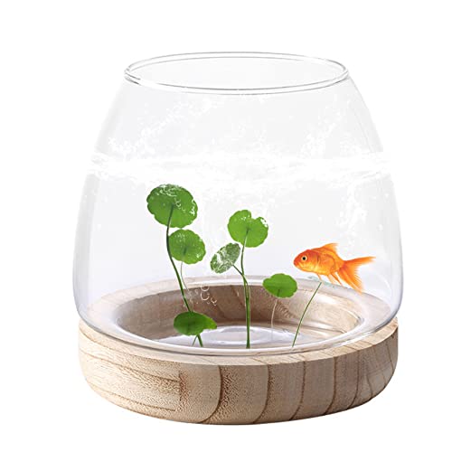 Fischschüssel Vasen, Glasvase mit hölzernen Stützbasis ökologischer Fischtank Hydroponische transparente Pflanze Vasen Dekorative Glasschale für Home Office Decor von Unicoco