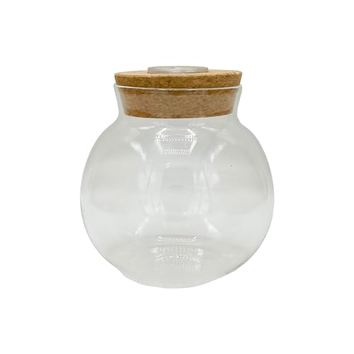 Silver Circle Products Unique Gardener: Glasterrarium – 10,2 cm mit Kork und 3 LEDs – beleuchteter Kork, Pflanzgefäß, Glas, für Sukkulenten, Blumen, Kräuter und mehr Silver Circle Products Unique Gardener: Glasterrarium – 10,2 cm mit Kork und 3 LEDs – beleuchteter Kork, Pflanzgefäß, Glas, für Sukkulenten, Blumen, Kräuter und mehr von Unique Gardener