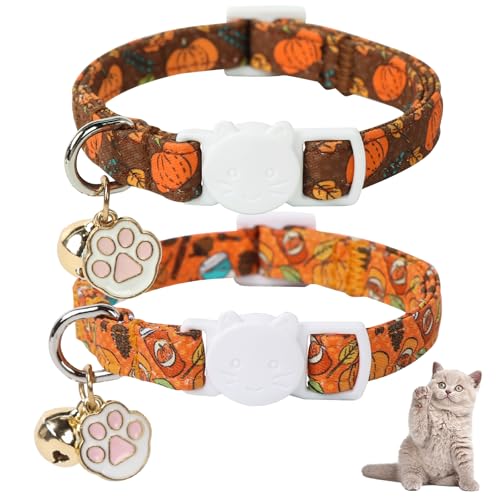 Unique Style Paws Kürbis-Kätzchen-Halsband, 2 Stück, Halloween-Katzenhalsband mit Glocke und süßem Pfoten-Anhänger, verstellbares orangefarbenes Kürbis-Kätzchen-Halsband, ideales Geschenk für Jungen Unique Style Paws Kürbis-Kätzchen-Halsband, 2 Stück, Halloween-Katzenhalsband mit Glocke und süßem Pfoten-Anhänger, verstellbares orangefarbenes Kürbis-Kätzchen-Halsband, ideales Geschenk für Jungen von Unique style paws