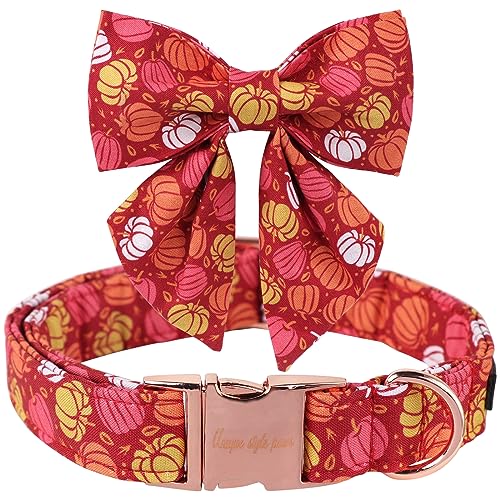Unique style paws Halloween Hundehalsband, Kürbis Hundehalsband, Verstellbare Bequeme Baumwolle Fliege Halsband für Jungen Mädchen Hunde, Fliege Halsband mit Metallschnalle, M, Hals 13.5-22in Unique style paws Halloween Hundehalsband, Kürbis Hundehalsband, Verstellbare Bequeme Baumwolle Fliege Halsband für Jungen Mädchen Hunde, Fliege Halsband mit Metallschnalle, M, Hals 13.5-22in von Unique style paws