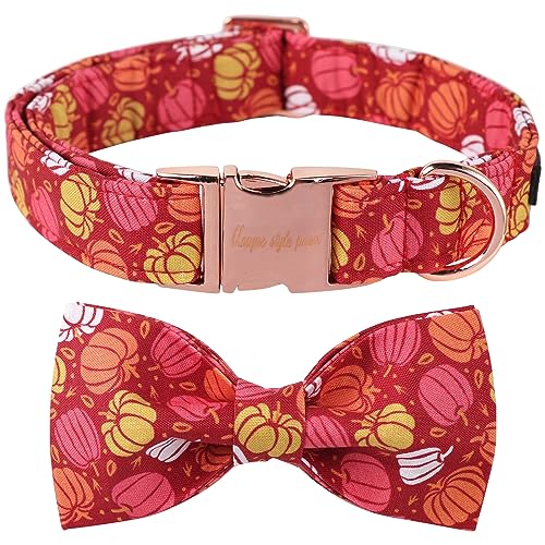 Unique style paws Halloween-Hundehalsband, Kürbis-Hundehalsband, verstellbar, bequem, Baumwolle, Fliege, Halsband für Jungen, Mädchen, Hunde, Fliege Halsband mit Metallschnalle, L, Halsumfang 40,6–61 Unique style paws Halloween-Hundehalsband, Kürbis-Hundehalsband, verstellbar, bequem, Baumwolle, Fliege, Halsband für Jungen, Mädchen, Hunde, Fliege Halsband mit Metallschnalle, L, Halsumfang 40,6–61 von Unique style paws
