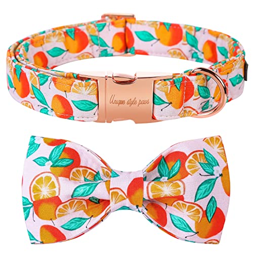 Unique style paws Haustierhalsband mit orangefarbenen Mustern, verstellbar, langlebig, Hundehalsband, Fliege, Hundehalsband, Haustiergeschenk für kleine, mittelgroße und große Hunde und Katzen-M Unique style paws Haustierhalsband mit orangefarbenen Mustern, verstellbar, langlebig, Hundehalsband, Fliege, Hundehalsband, Haustiergeschenk für kleine, mittelgroße und große Hunde und Katzen-M von Unique style paws