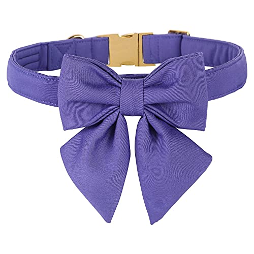 Unique style paws Hundehalsband aus Baumwolle mit Fliege, Dauerhaft und Komfortabel Halsband in 12 Farben, Verstellbares Halsband für Kleine Hunde, Welpen und Katzen mit Goldener Metallschnalle Unique style paws Hundehalsband aus Baumwolle mit Fliege, Dauerhaft und Komfortabel Halsband in 12 Farben, Verstellbares Halsband für Kleine Hunde, Welpen und Katzen mit Goldener Metallschnalle von Unique style paws