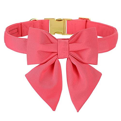 Unique style paws Hundehalsband aus Baumwolle mit Fliege, Dauerhaft und Komfortabel Halsband in 12 Farben, Verstellbares Halsband für Kleine Hunde, Welpen und Katzen mit Goldener Metallschnalle Unique style paws Hundehalsband aus Baumwolle mit Fliege, Dauerhaft und Komfortabel Halsband in 12 Farben, Verstellbares Halsband für Kleine Hunde, Welpen und Katzen mit Goldener Metallschnalle von Unique style paws