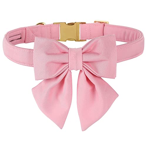 Unique style paws Hundehalsband aus Baumwolle mit Fliege, verstellbares Halsband für kleine Hunde, Welpen und Katzen mit goldener Metallschnalle Unique style paws Hundehalsband aus Baumwolle mit Fliege, verstellbares Halsband für kleine Hunde, Welpen und Katzen mit goldener Metallschnalle von Unique style paws