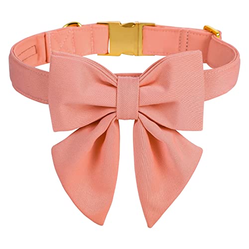 Unique style paws Hundehalsband aus Baumwolle mit Fliege, verstellbares Halsband für kleine Hunde, Welpen und Katzen mit goldener Metallschnalle Unique style paws Hundehalsband aus Baumwolle mit Fliege, verstellbares Halsband für kleine Hunde, Welpen und Katzen mit goldener Metallschnalle von Unique style paws