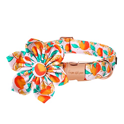 Unique style paws Hundehalsband mit Orangefarbenen Mustern, Verstellbares Dauerhaft Hundehalsband Hundehalsband mit Blumen Geschenk für Kleine, Mittelgroße, Große Hunde und Katzen-XL Unique style paws Hundehalsband mit Orangefarbenen Mustern, Verstellbares Dauerhaft Hundehalsband Hundehalsband mit Blumen Geschenk für Kleine, Mittelgroße, Große Hunde und Katzen-XL von Unique style paws