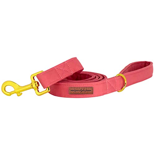 Unique style paws Hundeleine aus Baumwolle, handgefertigt, zum Spazierengehen, einzigartige Hundeleine, passendes Hundehalsband für kleine, mittelgroße und große Hunde Unique style paws Hundeleine aus Baumwolle, handgefertigt, zum Spazierengehen, einzigartige Hundeleine, passendes Hundehalsband für kleine, mittelgroße und große Hunde von Unique style paws