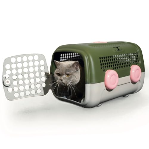 UNITED PETS A.U.T.O. Transportbox für Hunde und Katzen, robust, hergestellt in Italien, Grün/Taupe, inklusive Hygienematte, 51 x 37 x 33 cm, Transportbox für Reisen UNITED PETS A.U.T.O. Transportbox für Hunde und Katzen, robust, hergestellt in Italien, Grün/Taupe, inklusive Hygienematte, 51 x 37 x 33 cm, Transportbox für Reisen von United Pets
