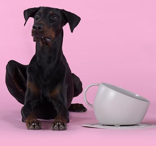 UNITED PETS Set Cup Große Schüssel und Unterlage grau, Design Schüssel für Hunde, Made in Italy, für mittelgroße und große Hunde, rutschfest, Spritzschutz, 100% recycelter Kunststoff von United Pets